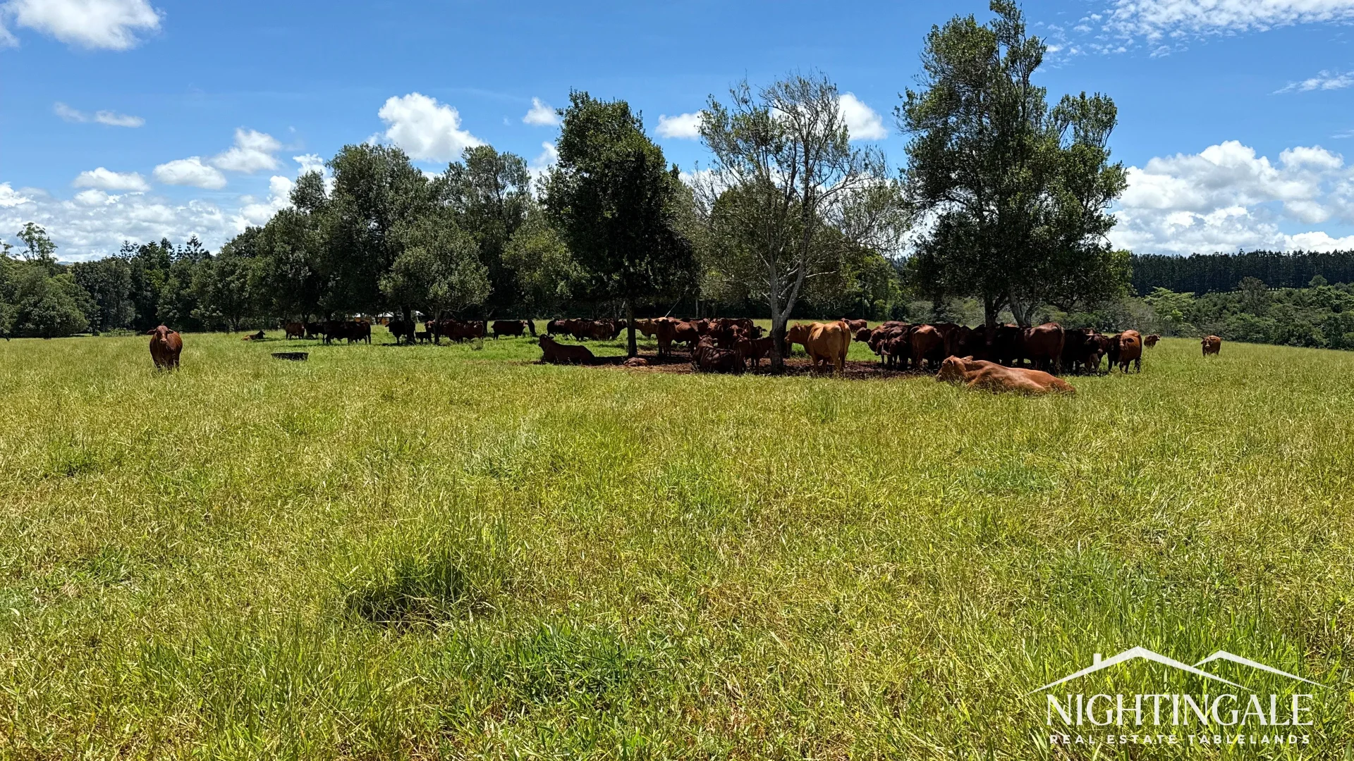 Additional image 14 of 156 Glen Allyn Road, Malanda QLD 4885