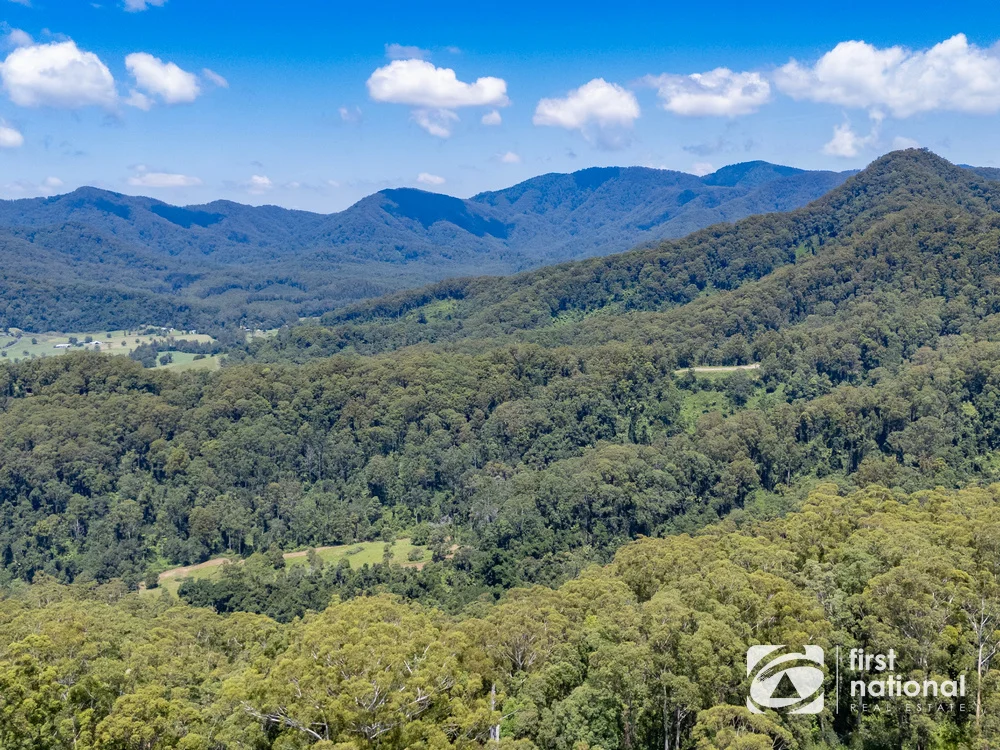 Additional image 21 of Lot 65 North Island Loop Road, Upper Orara NSW 2450