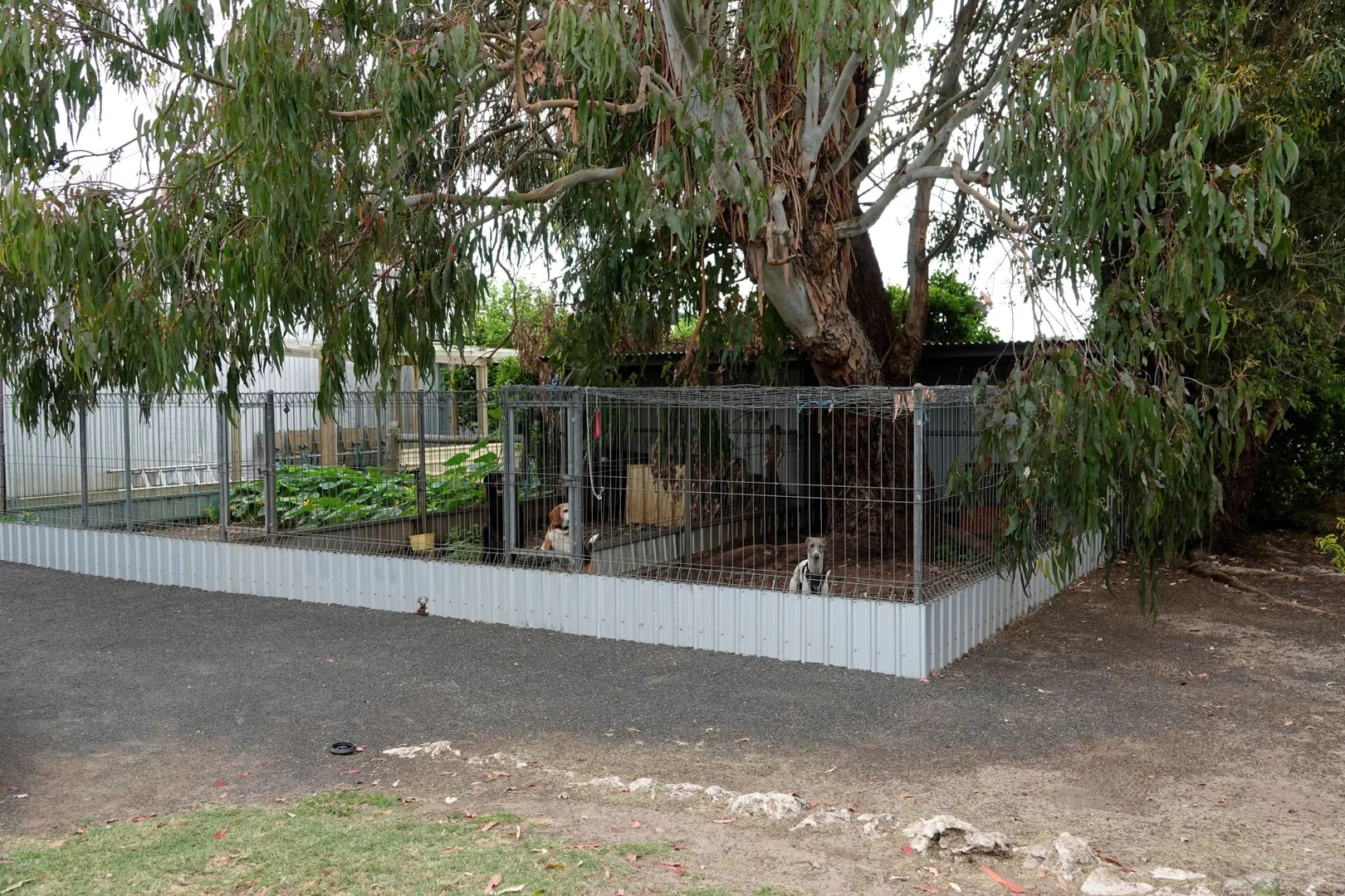 Additional image 18 of 295 Caroline Headquarters Road, Yahl SA 5291