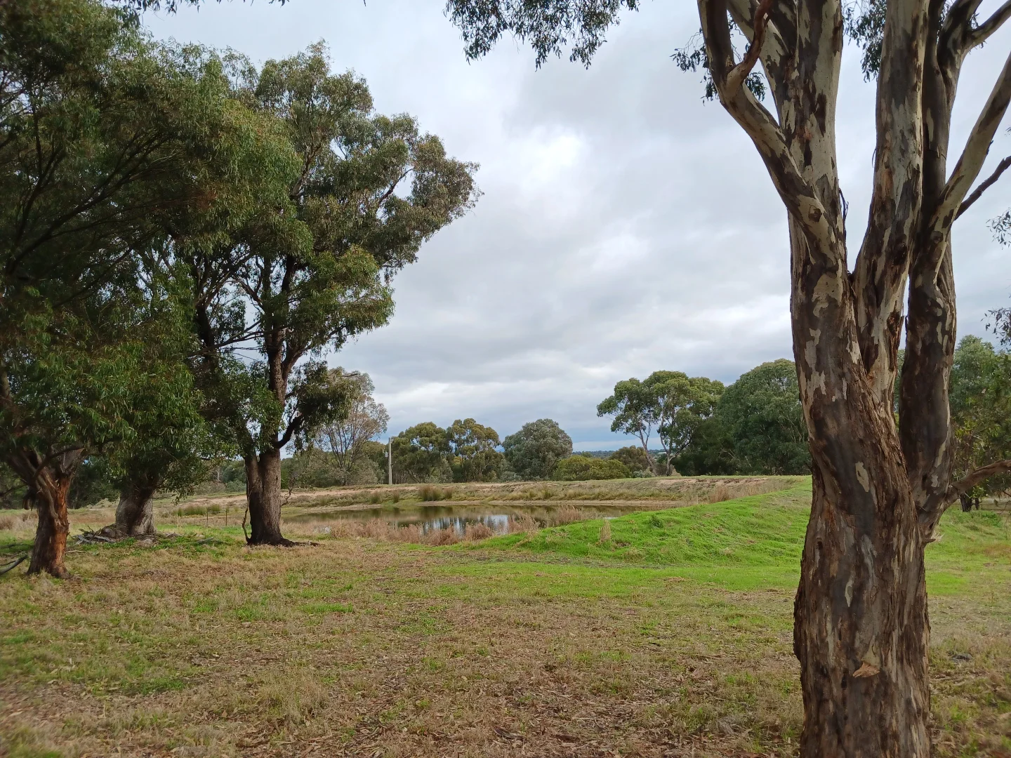 Additional image 2 of 2 Springvale Road, Lockwood South VIC 3551