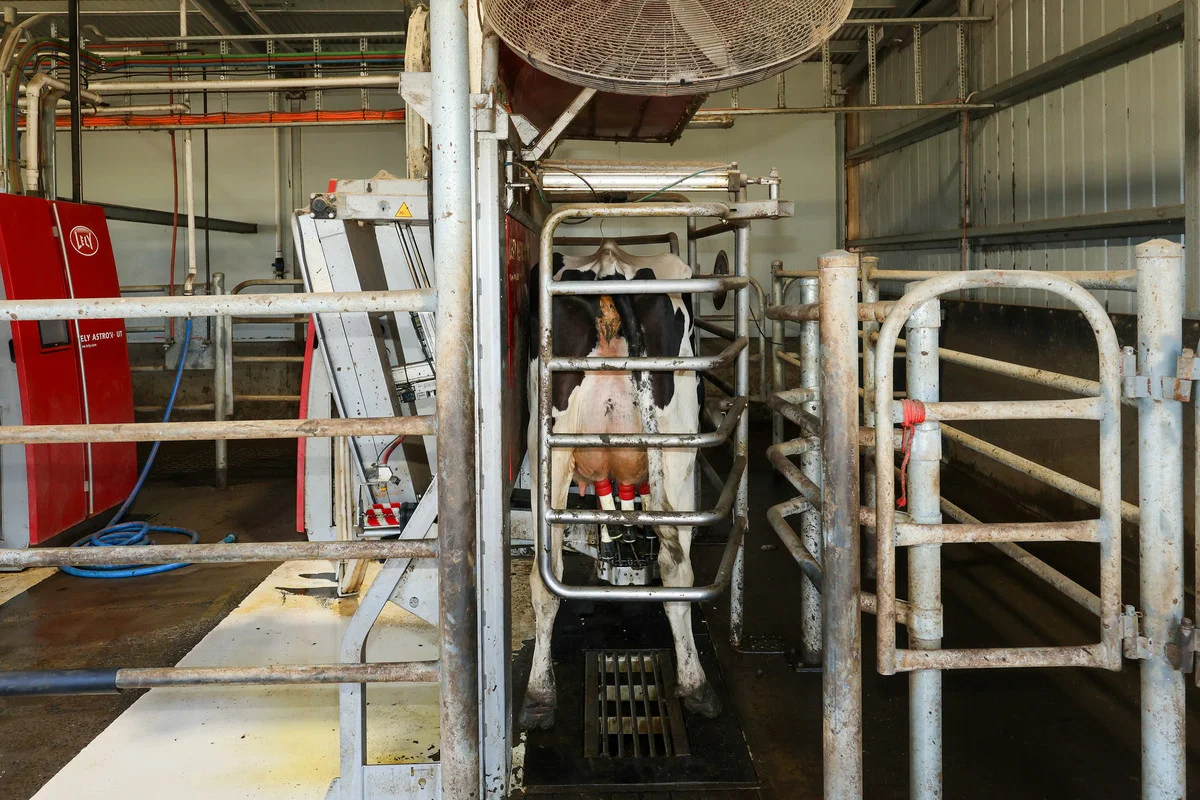 Additional image 15 of 111 Smith Street, Heywood VIC 3304