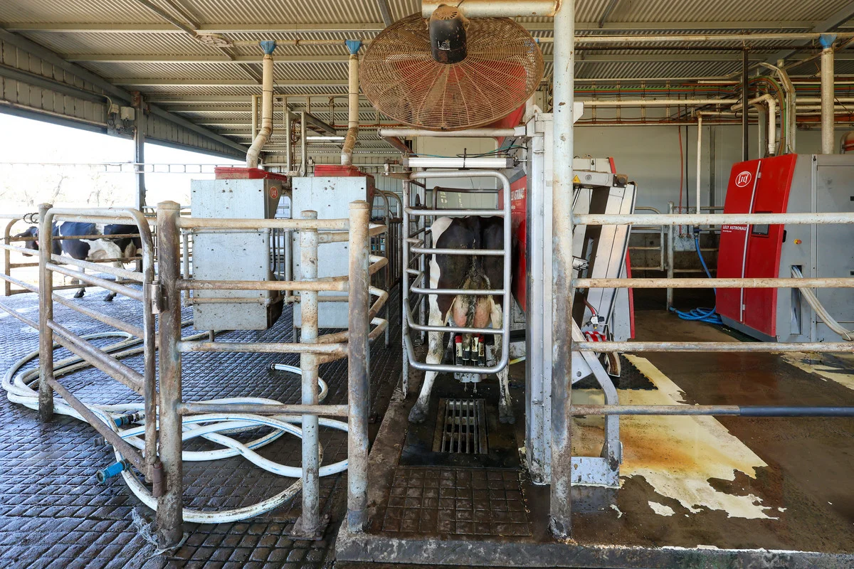 Additional image 12 of 111 Smith Street, Heywood VIC 3304