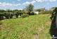 Additional image 10 of Wiston Street, Pembroke