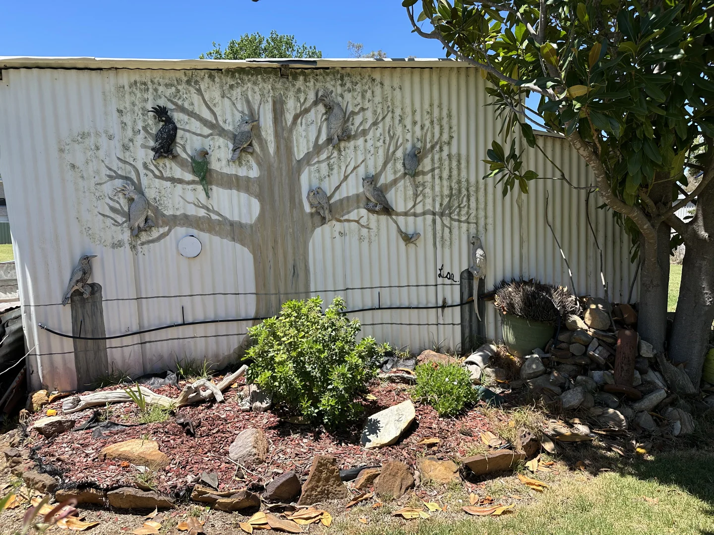 Additional image 5 of 14 Oban Street, Coolah NSW 2843