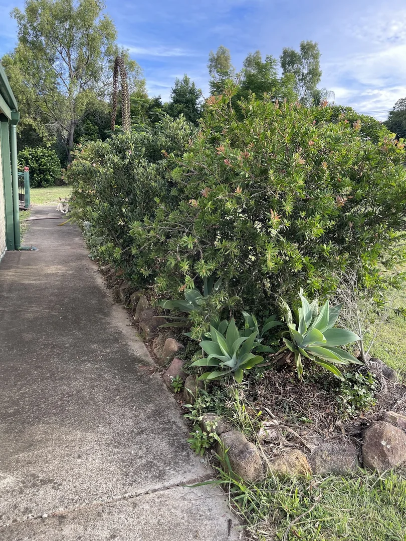 Additional image 10 of 8 Walter Court, Glenore Grove QLD 4342