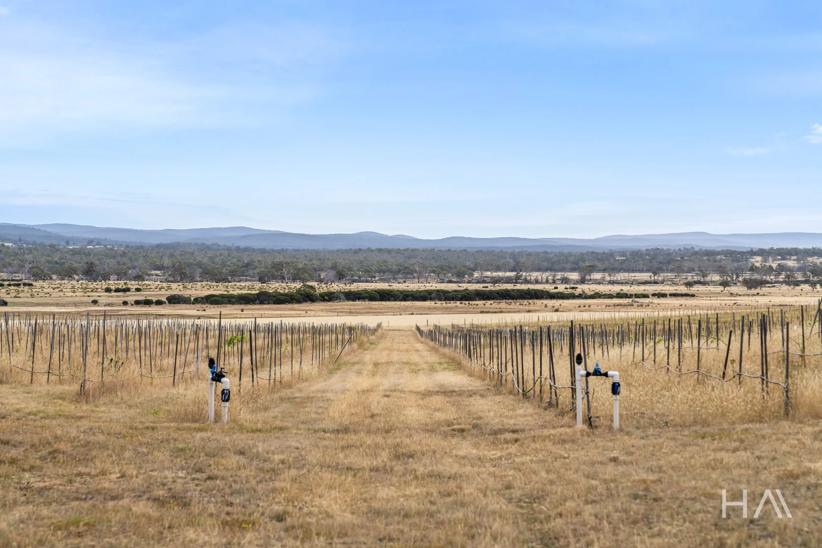 Additional image 10 of Lot 50 Springs Road, Swansea TAS 7190