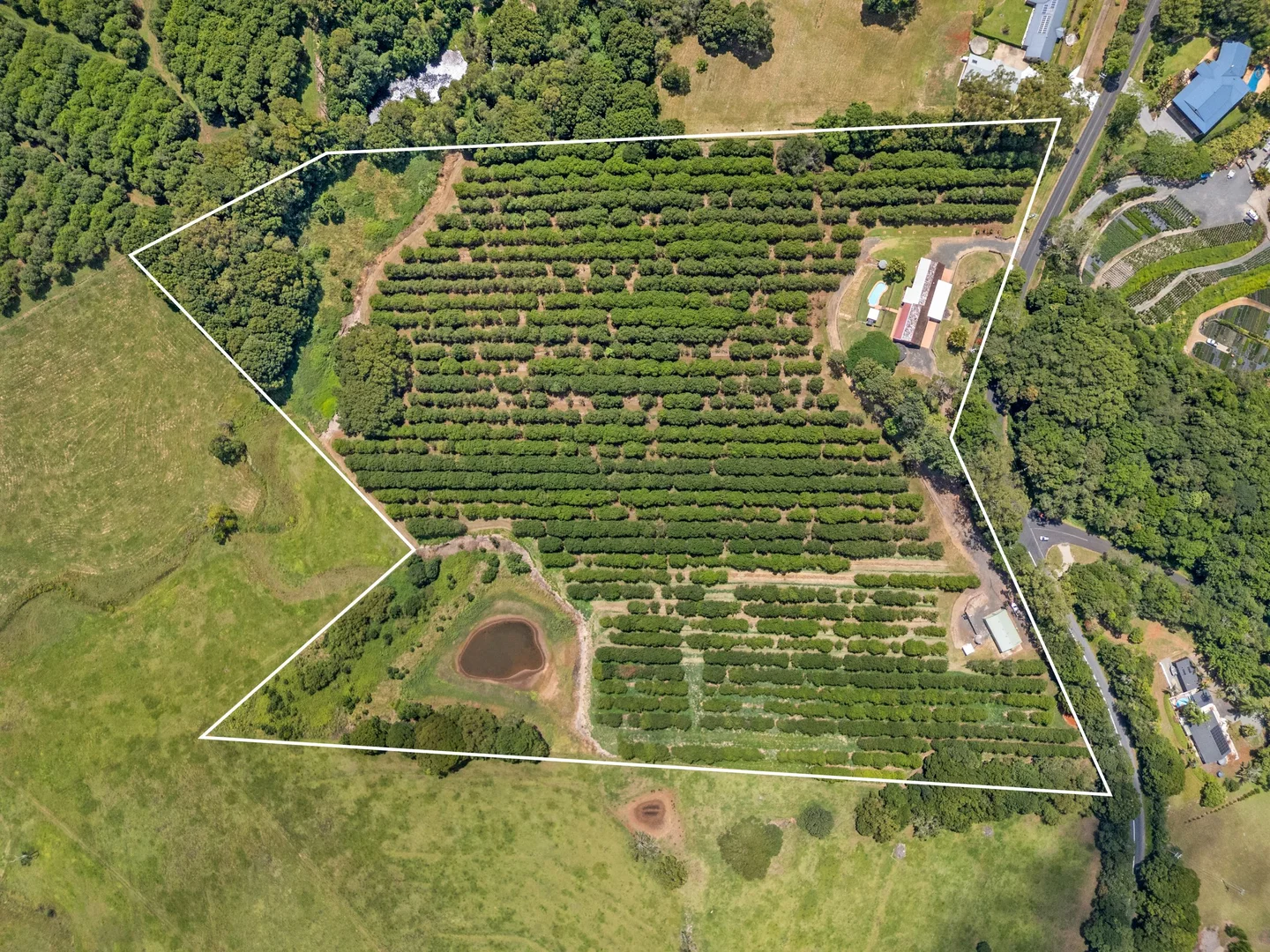 Additional image 28 of 475 Pearces Creek Road, Alstonvale NSW 2477