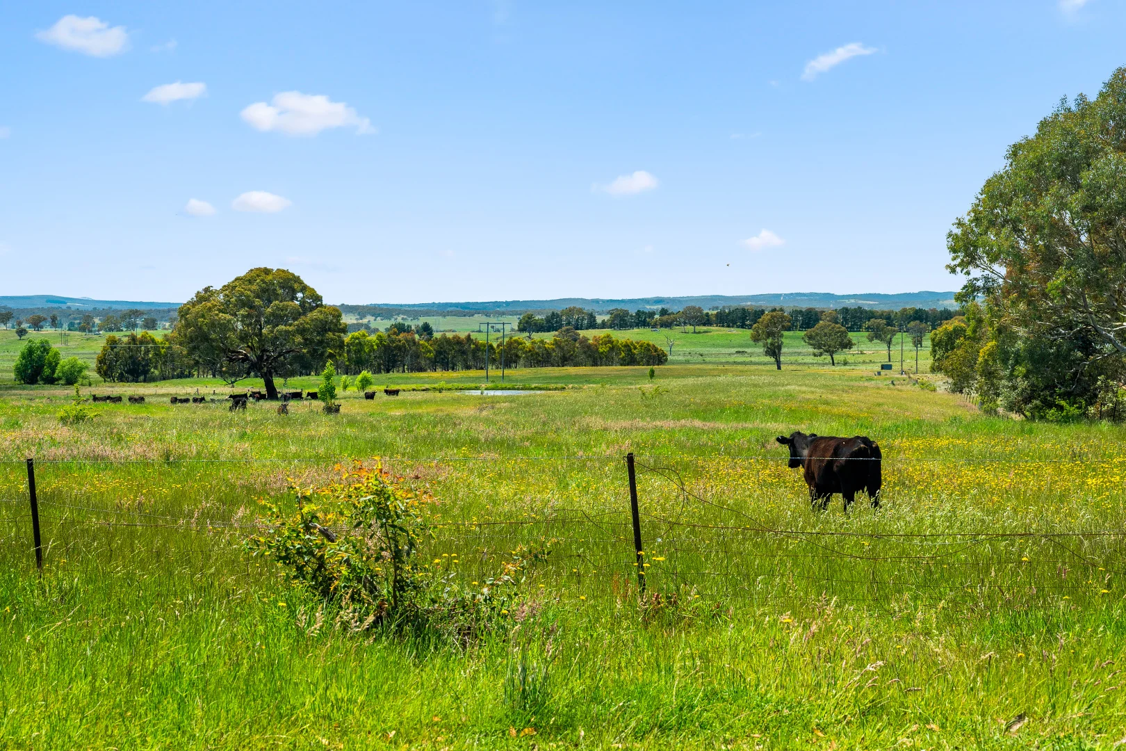 Additional image 44 of 87 Westmead Lane, Sutton NSW 2620