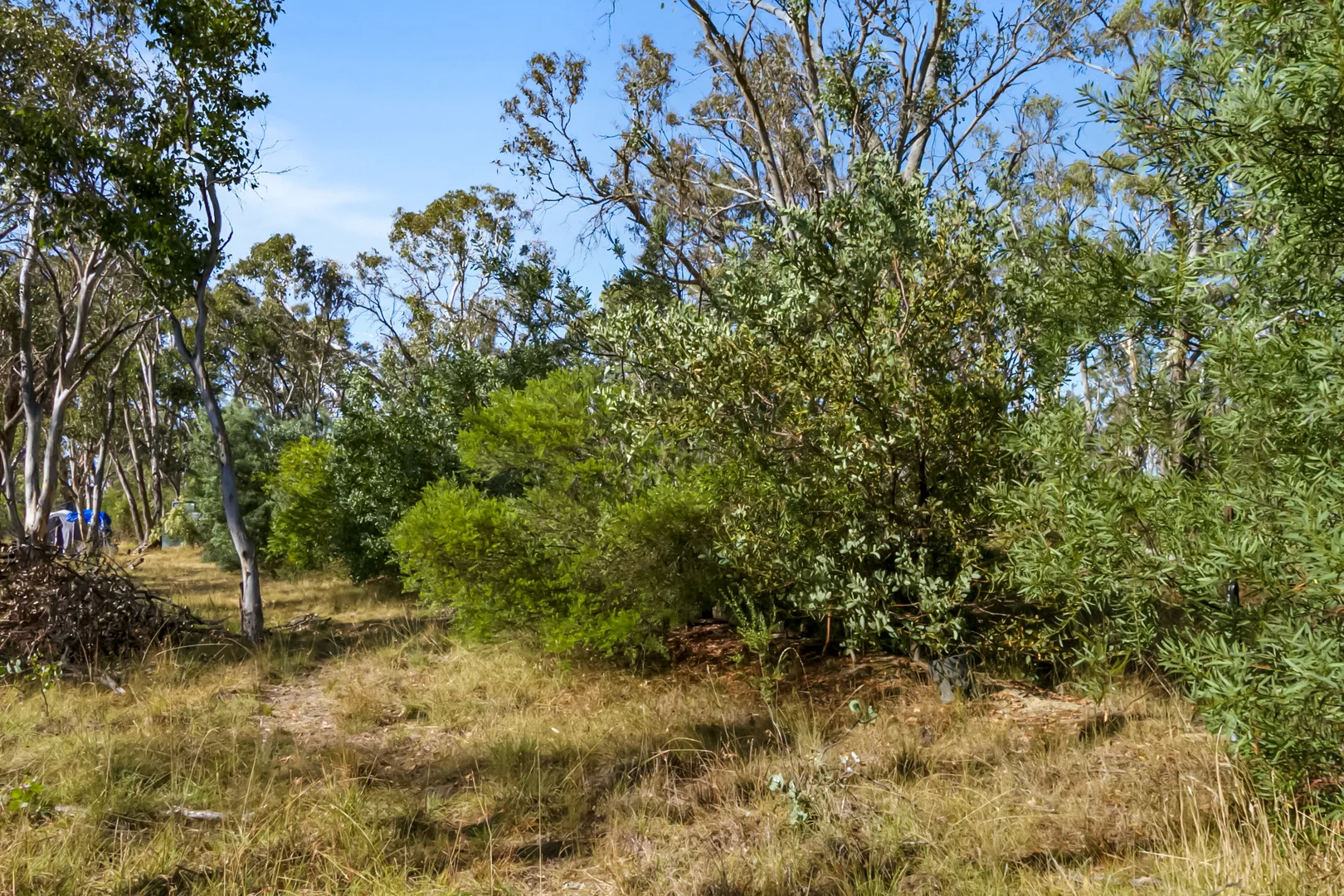 Additional image 7 of 55 Panhandle Road, Uralla NSW 2358