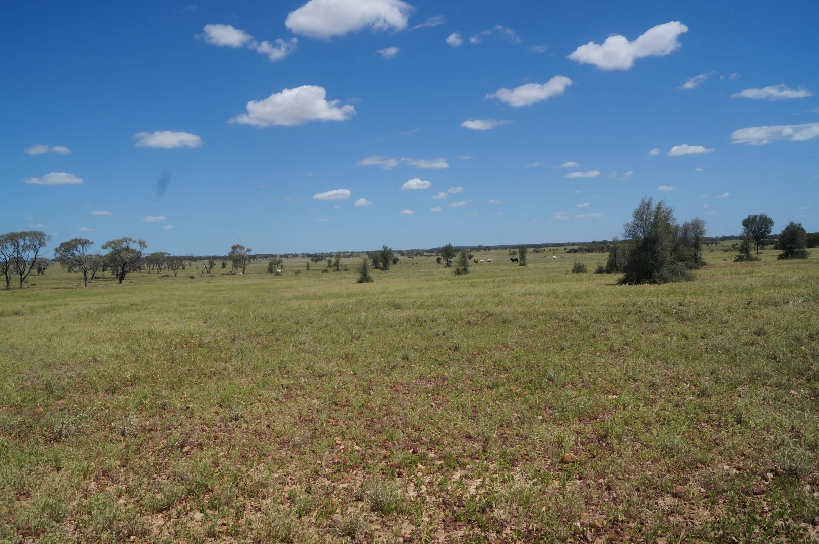 Additional image 29 of 1 Baratria Road, Longreach QLD 4730