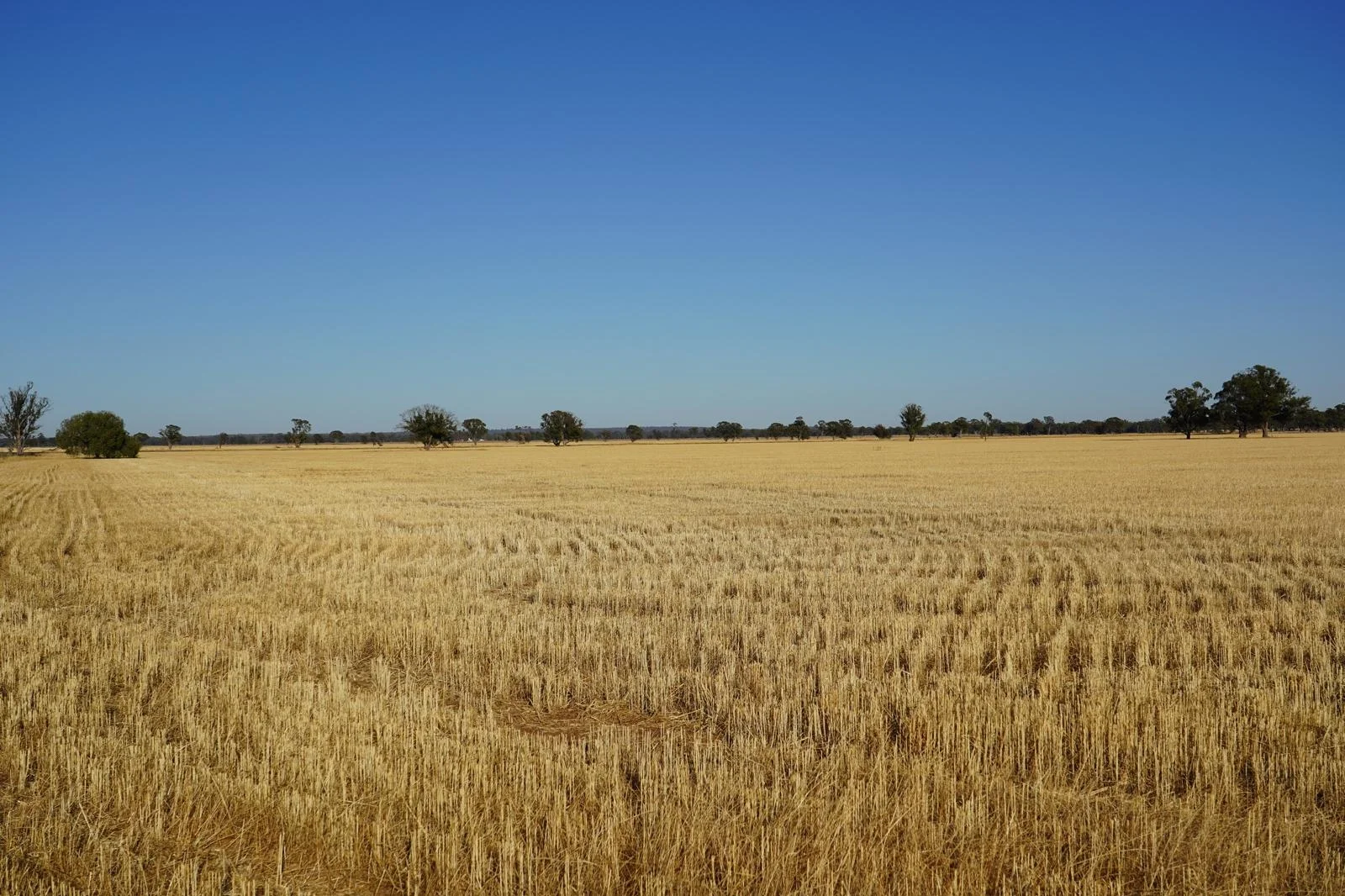 Additional image 13 of Part Woodville Blackstock Hill Road, Peak Hill NSW 2869