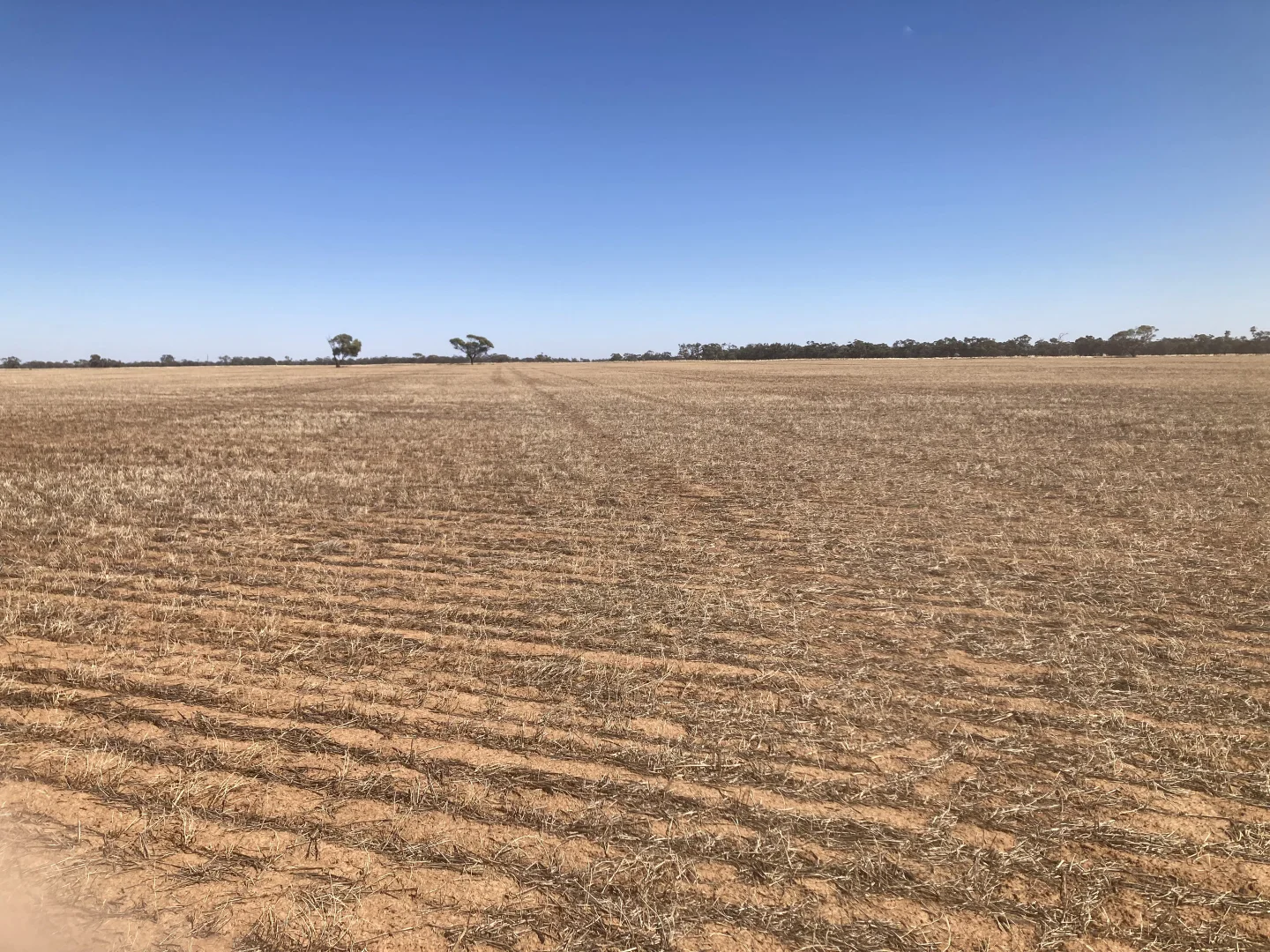 Additional image 4 of Lot 1 Culgoa-Lalbert Road, Culgoa VIC 3530