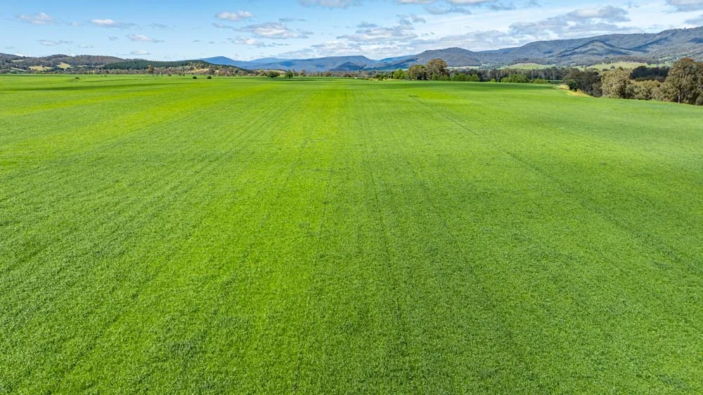 Additional image 7 of 1279 Edi-Cheshunt Road, Whitfield VIC 3733