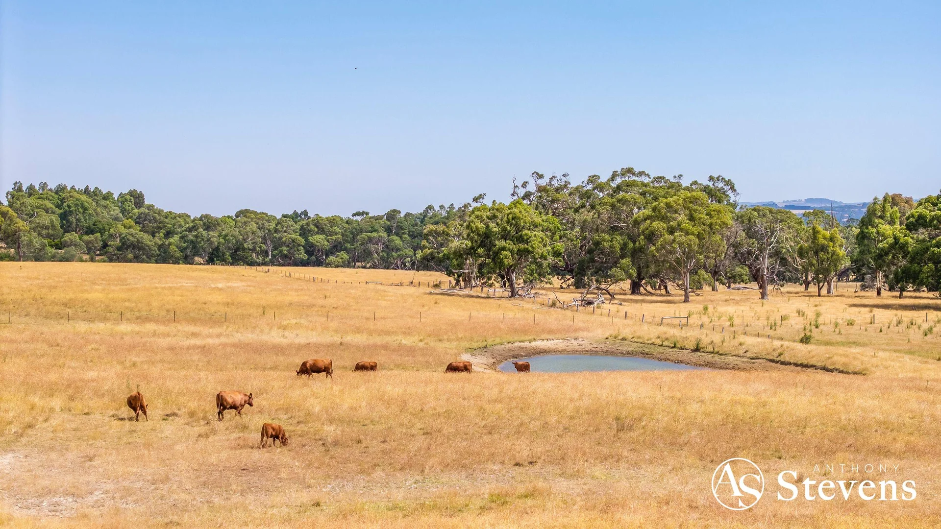 Additional image 14 of C/A-61 Pattinsons Lane, Goldie VIC 3435