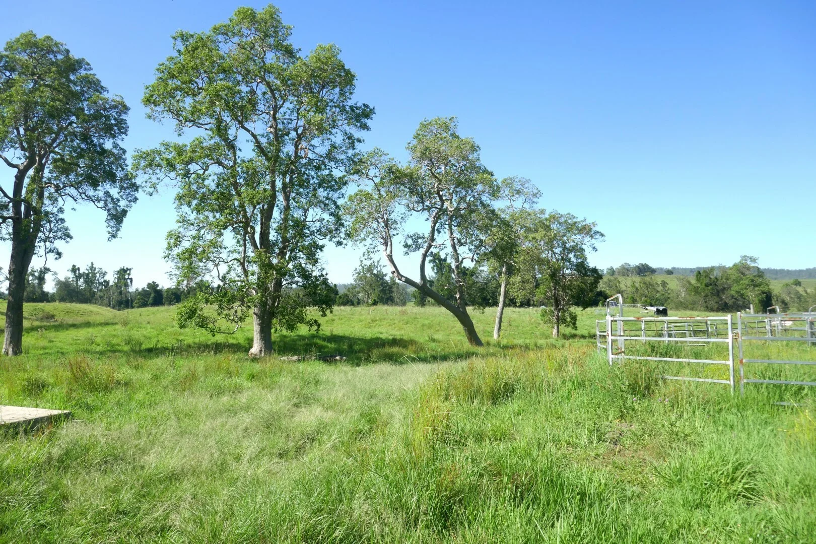 Additional image 27 of 258 Iron Pot Creek Rd, Ettrick NSW 2474