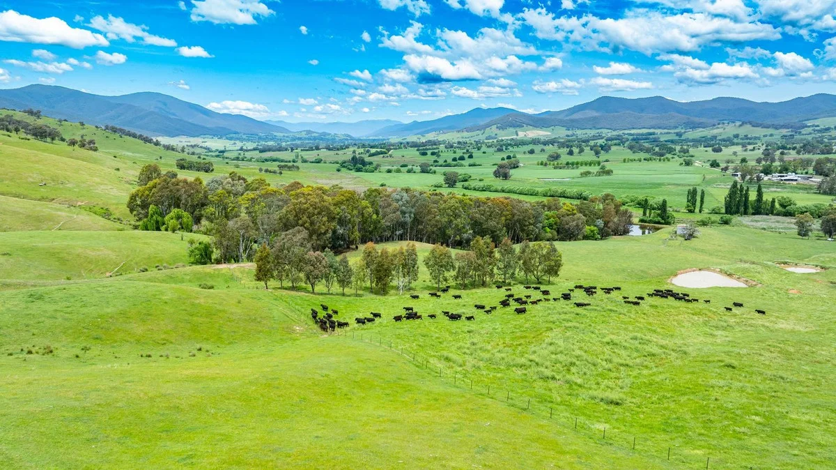 Additional image 7 of Swamp Lane, Dederang VIC 3691