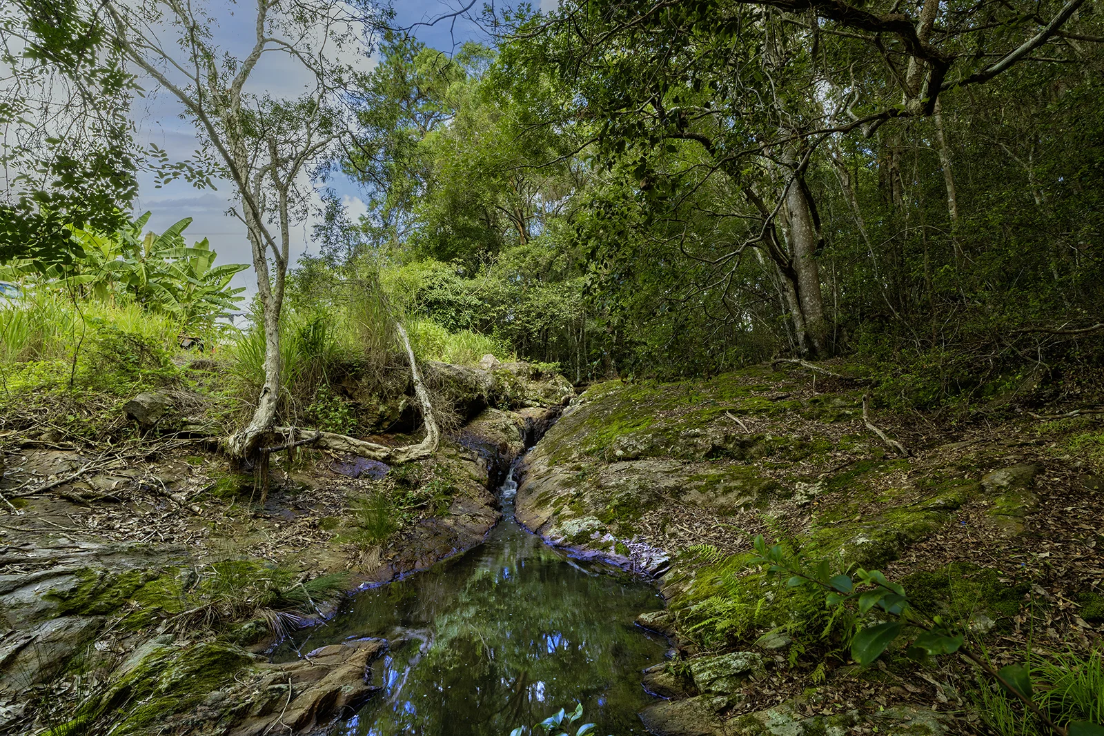 Additional image 29 of 654 Blackall Range Road, West Woombye QLD 4559