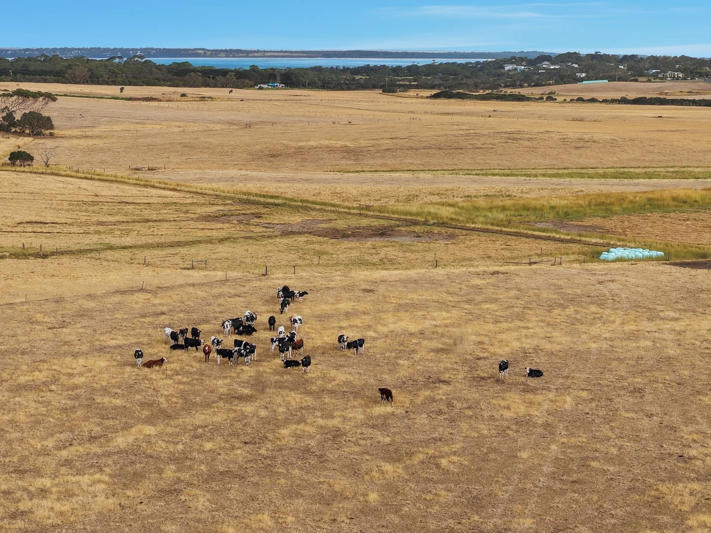 Additional image 11 of 3/445 Ventnor Road, Ventnor VIC 3922