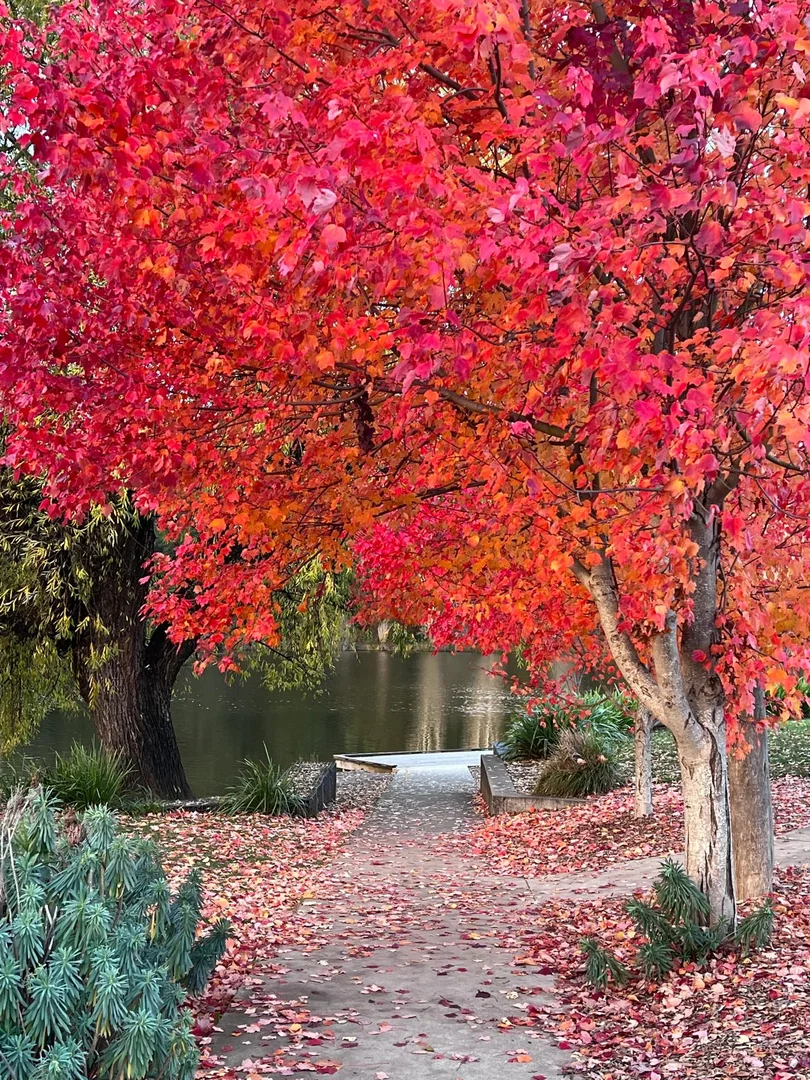 Additional image 16 of 38 Perrins Street, Daylesford VIC 3460