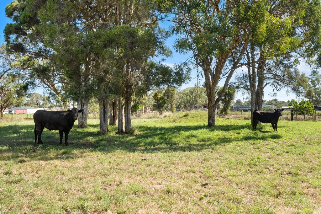 Additional image 20 of 19-25 FOURTH ROAD, Berkshire Park NSW 2765