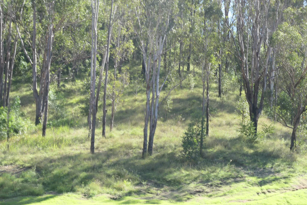 Additional image 16 of 3501b Rocky River Road, Rocky River NSW 2372