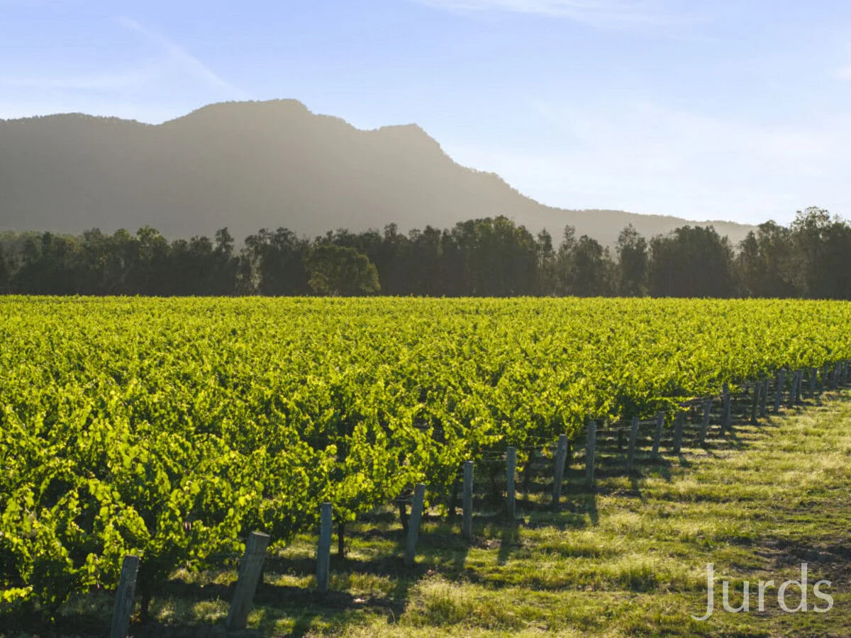 Additional image 10 of 2/DP707940 Hermitage Road, Pokolbin NSW 2320