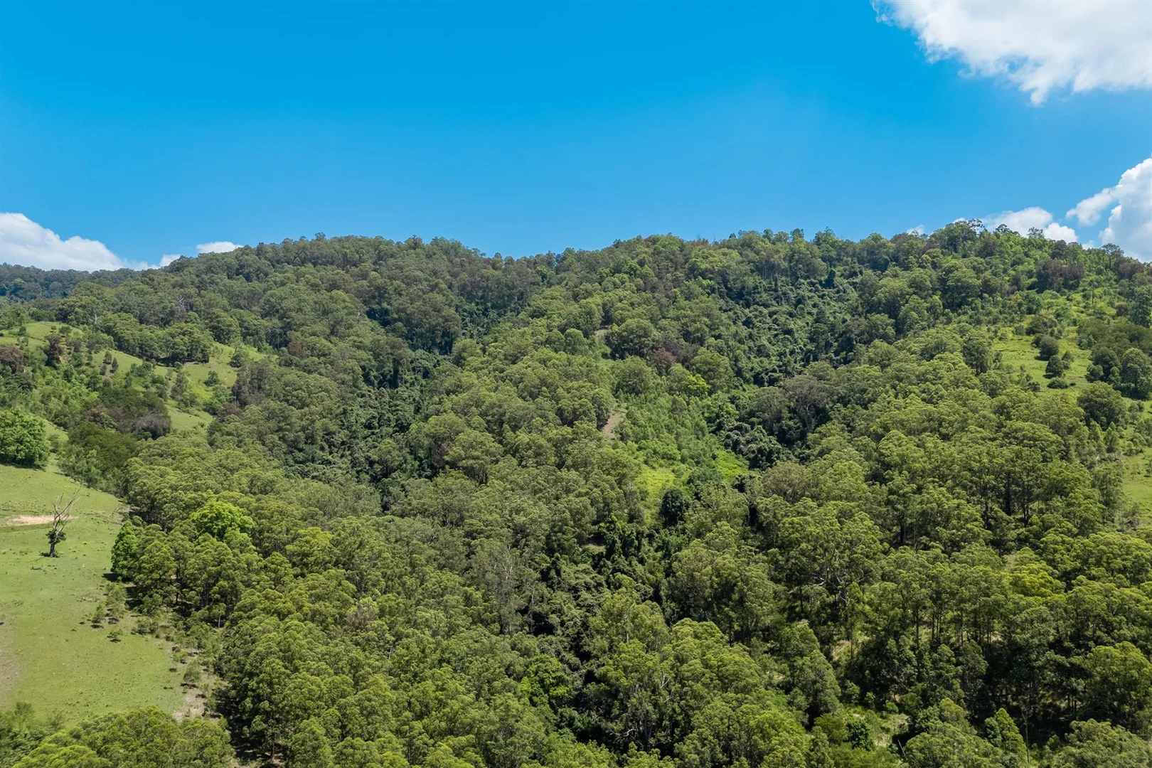 Additional image 28 of 321 Masseys Creek Road, Eccleston NSW 2311