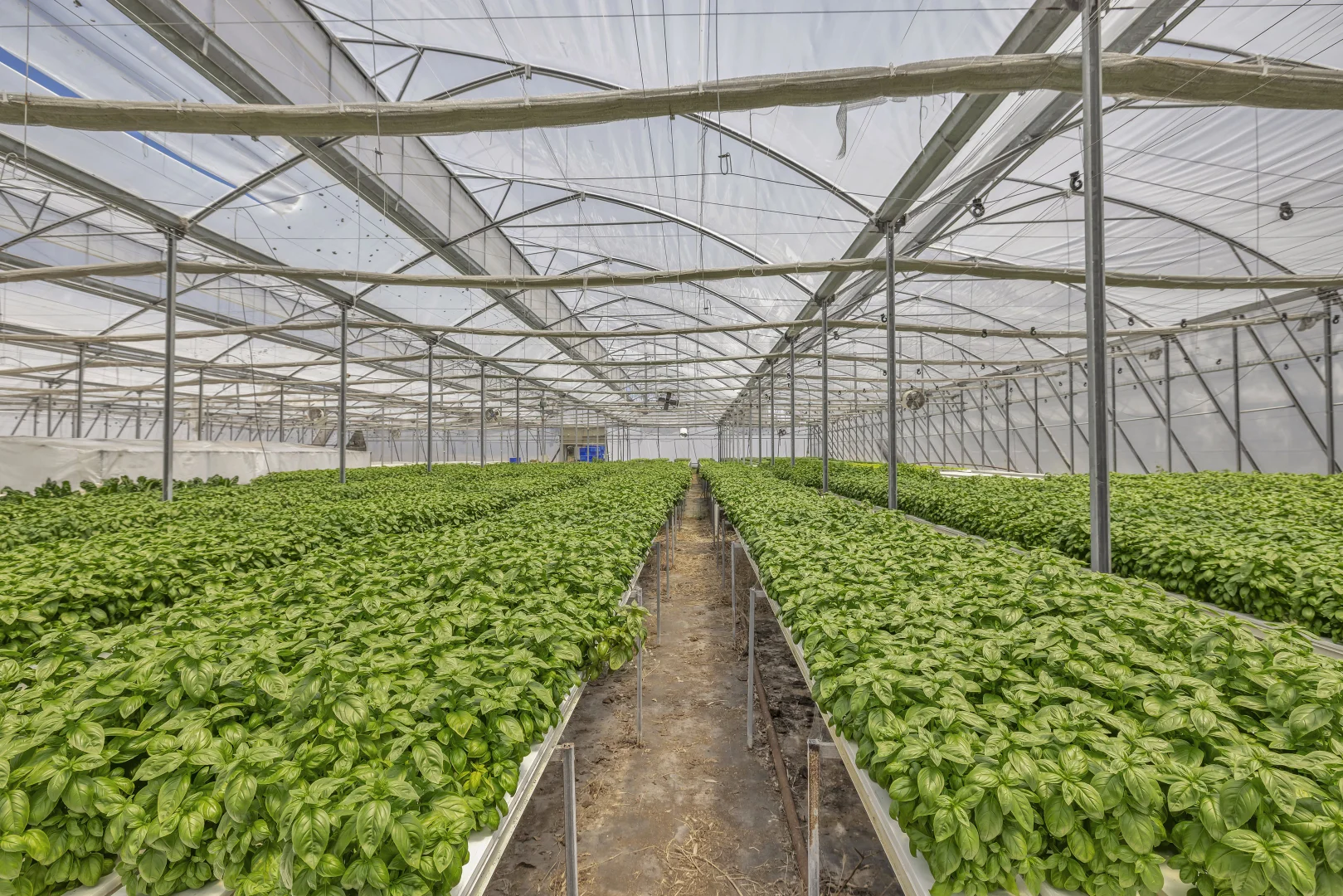 Additional image 7 of 2185 Dalyston-Glen Forbes Road, Glen Forbes VIC 3990