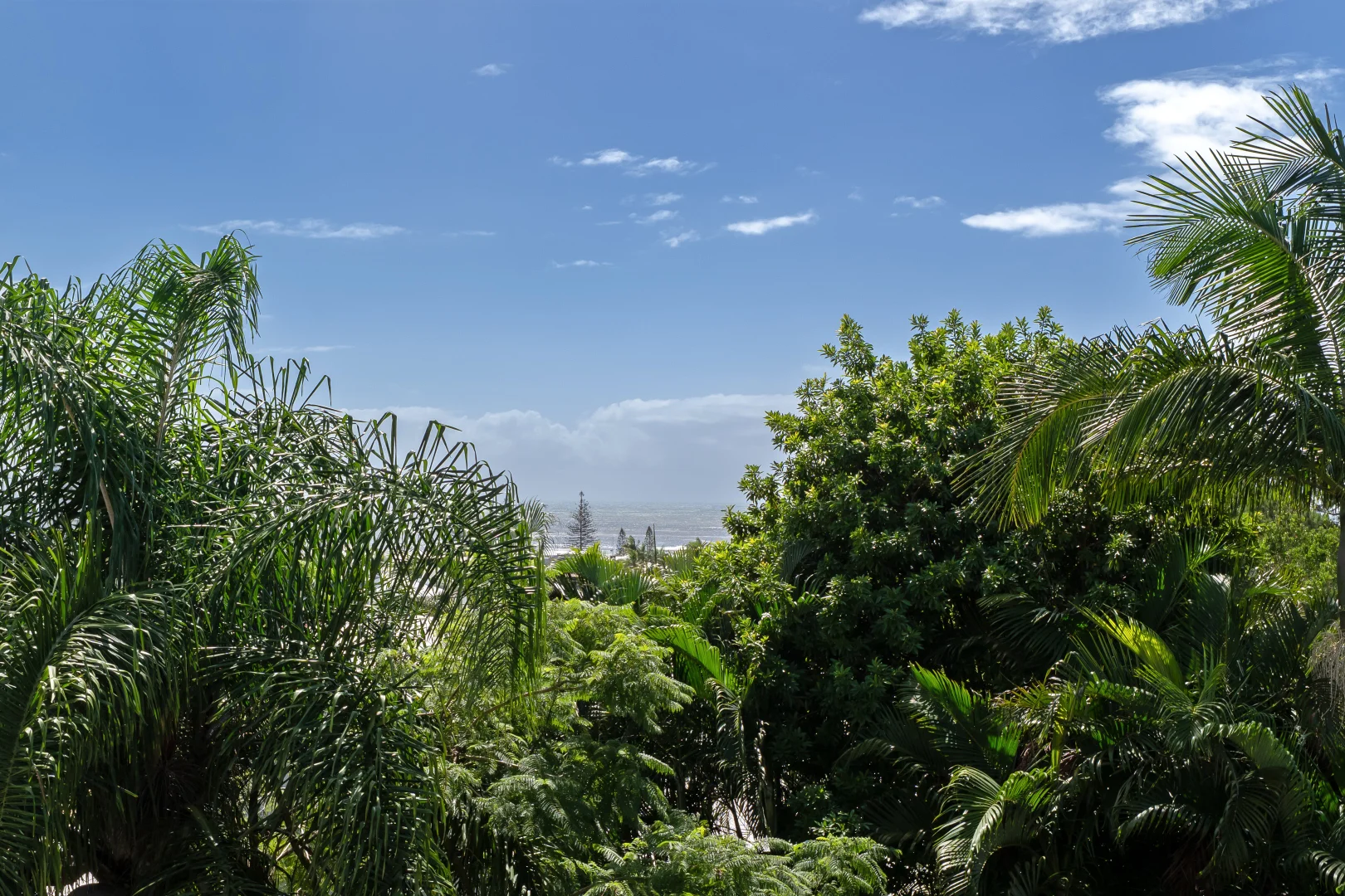 Additional image 8 of 2 Tantula Road East, Alexandra Headland QLD 4572