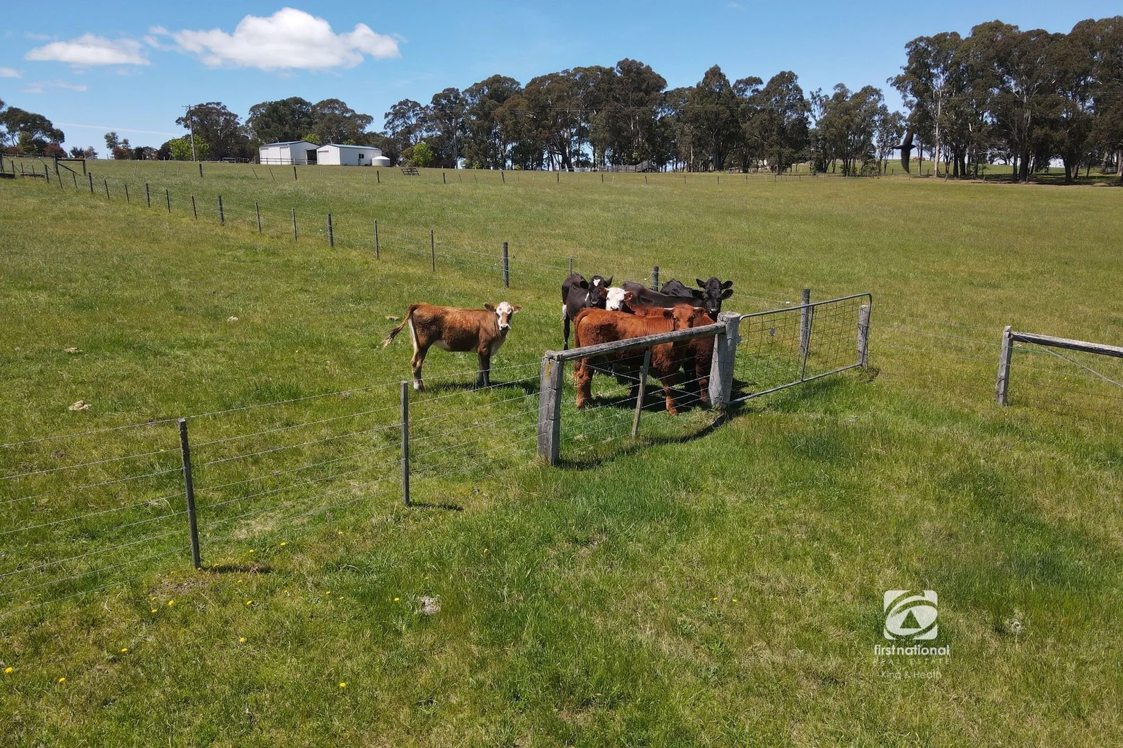 Additional image 36 of 45 Cattlemans Track, Metung VIC 3904