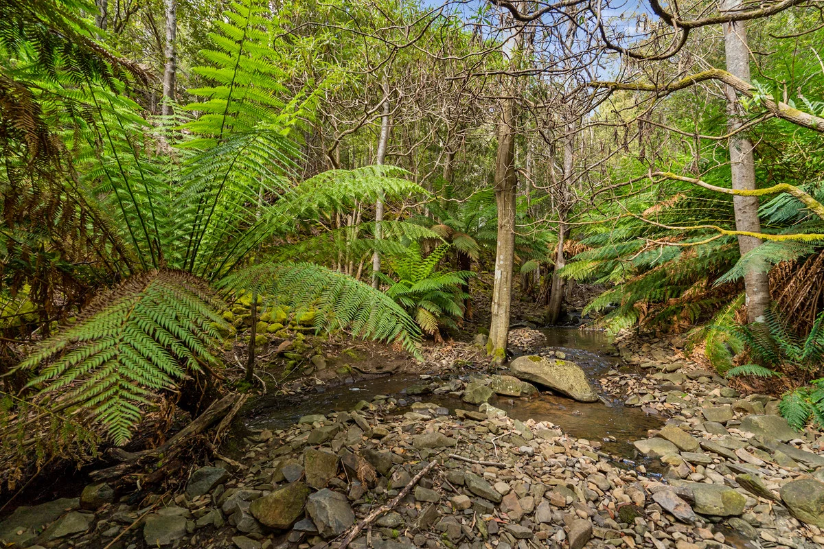 Additional image 4 of 7 Kaoota Road, Kaoota TAS 7150