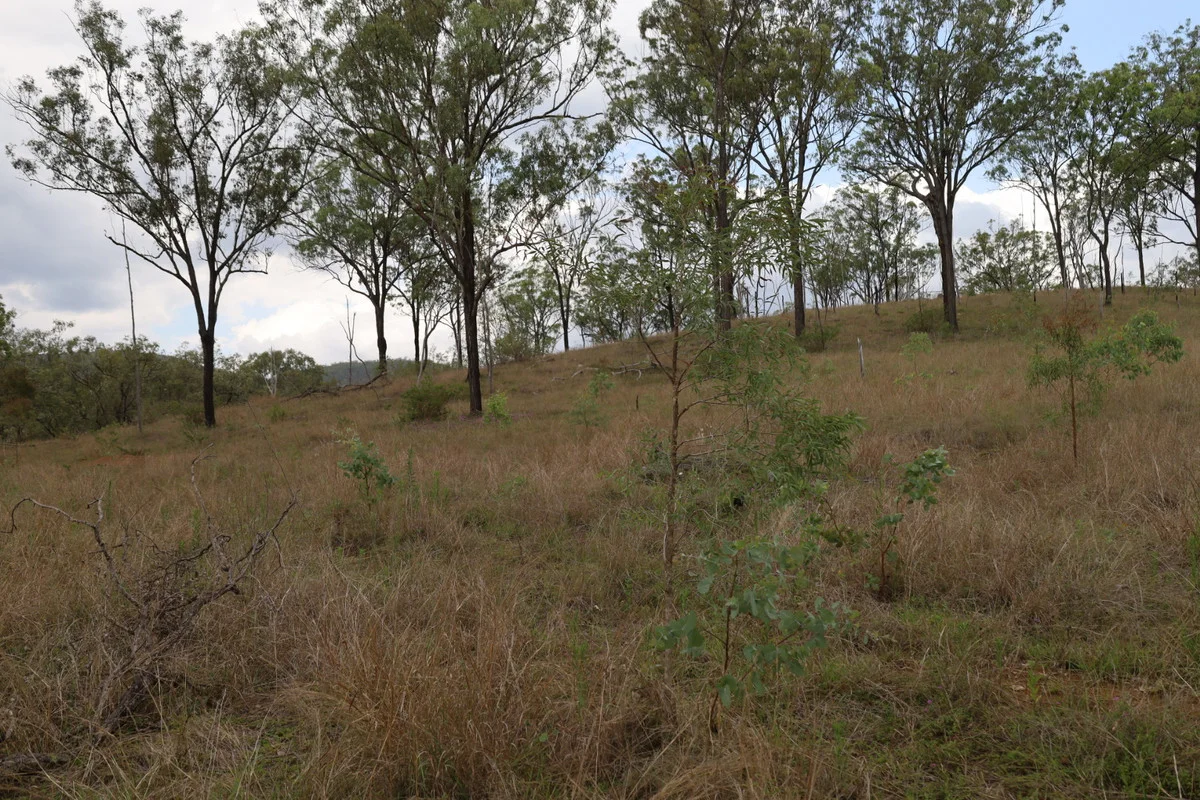 Additional image 22 of 479 Pine Mountain Creek Road, Monto QLD 4630
