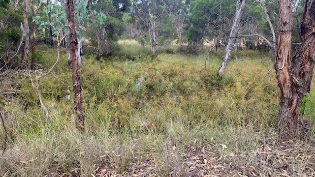 Additional image 3 of L184 Golden Glow Road, Tara QLD 4421