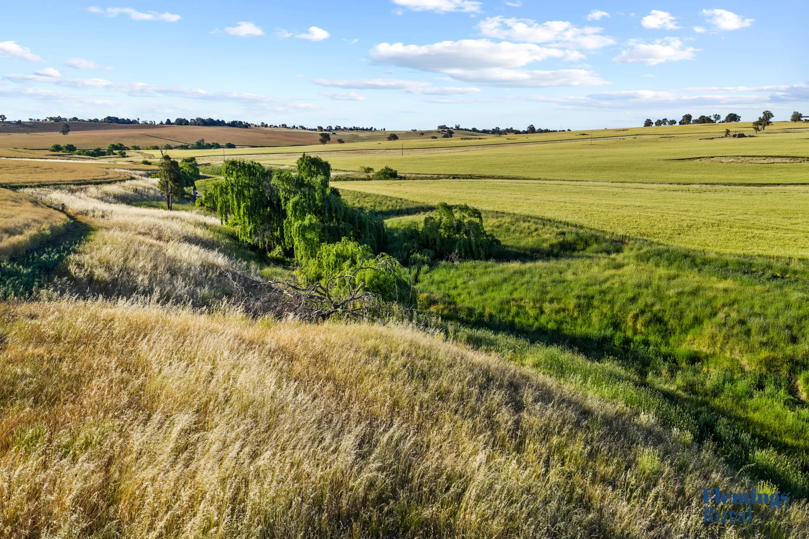 Additional image 15 of 170 Kanoona Road, Harden NSW 2587