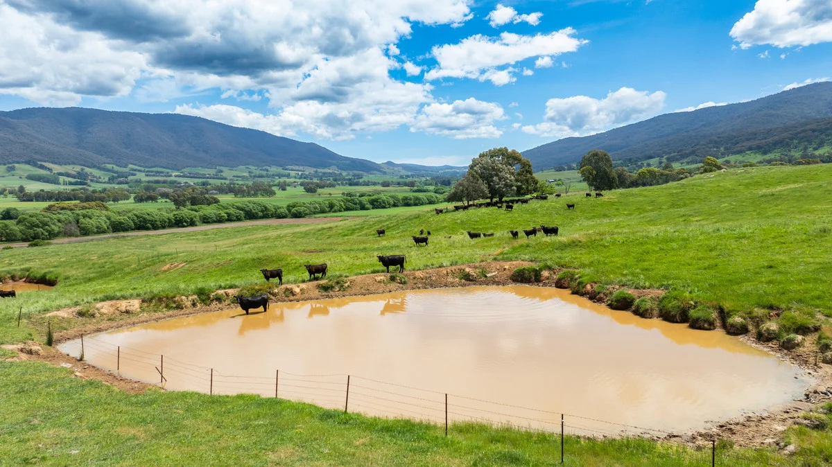 Additional image 8 of Swamp Lane, Dederang VIC 3691