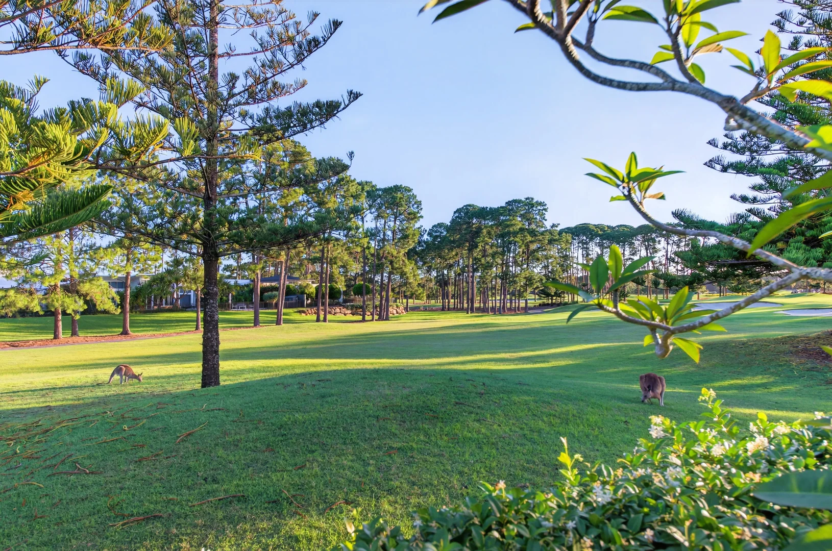 Additional image 11 of 2208 The Parkway, Sanctuary Cove QLD 4212