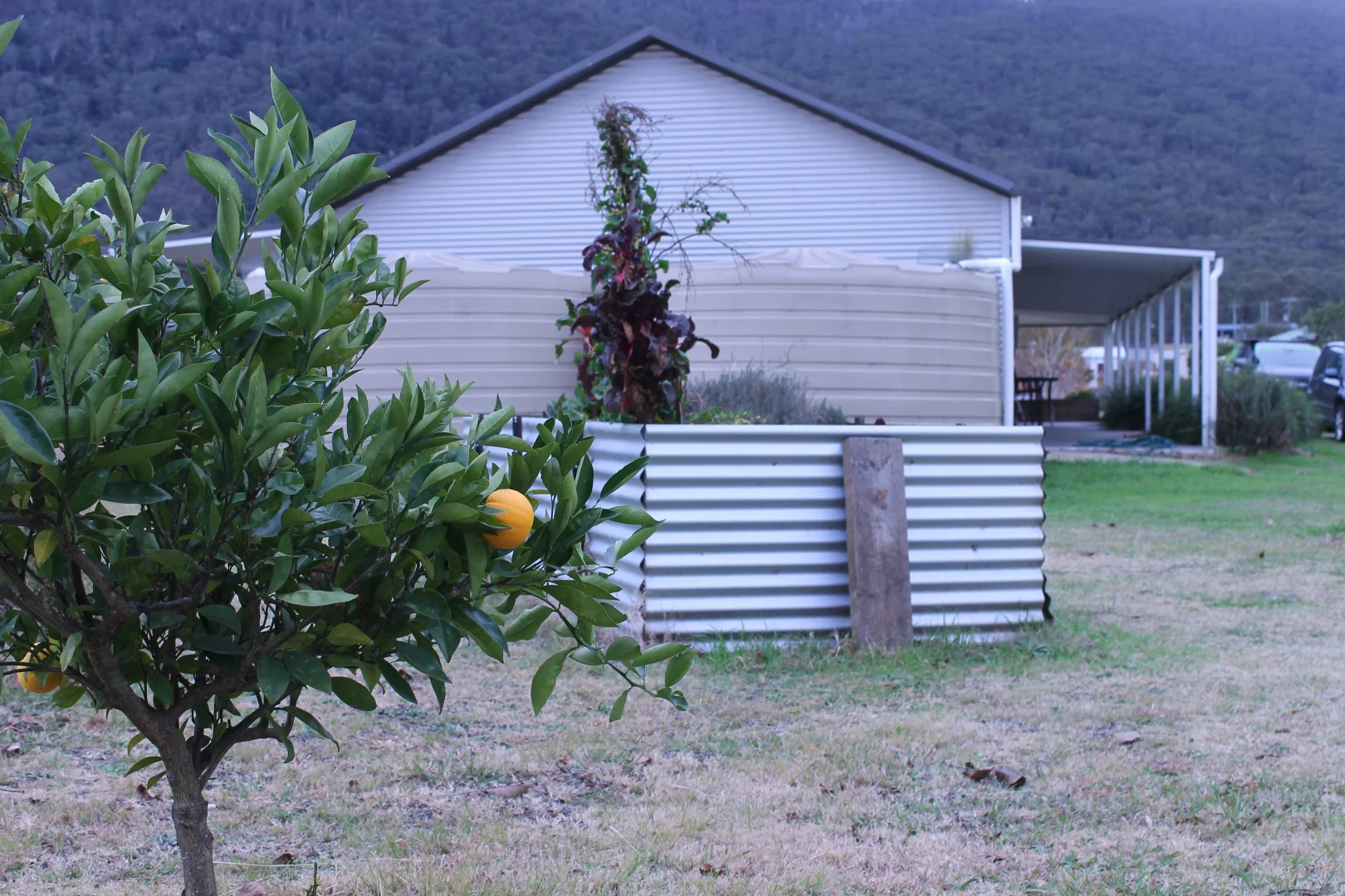 Additional image 21 of 23 Dirty Butter Creek Road, Araluen NSW 2622