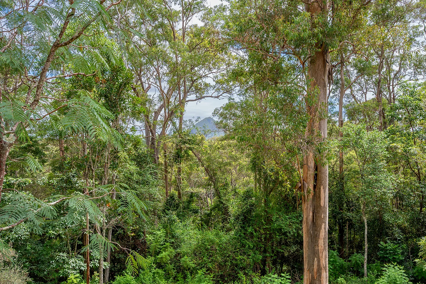 Additional image 16 of 235 Black Mountain Range Road, Black Mountain QLD 4563