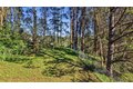 Additional image 59 of 5 Arriba Dr, Aromas, CA, 95004