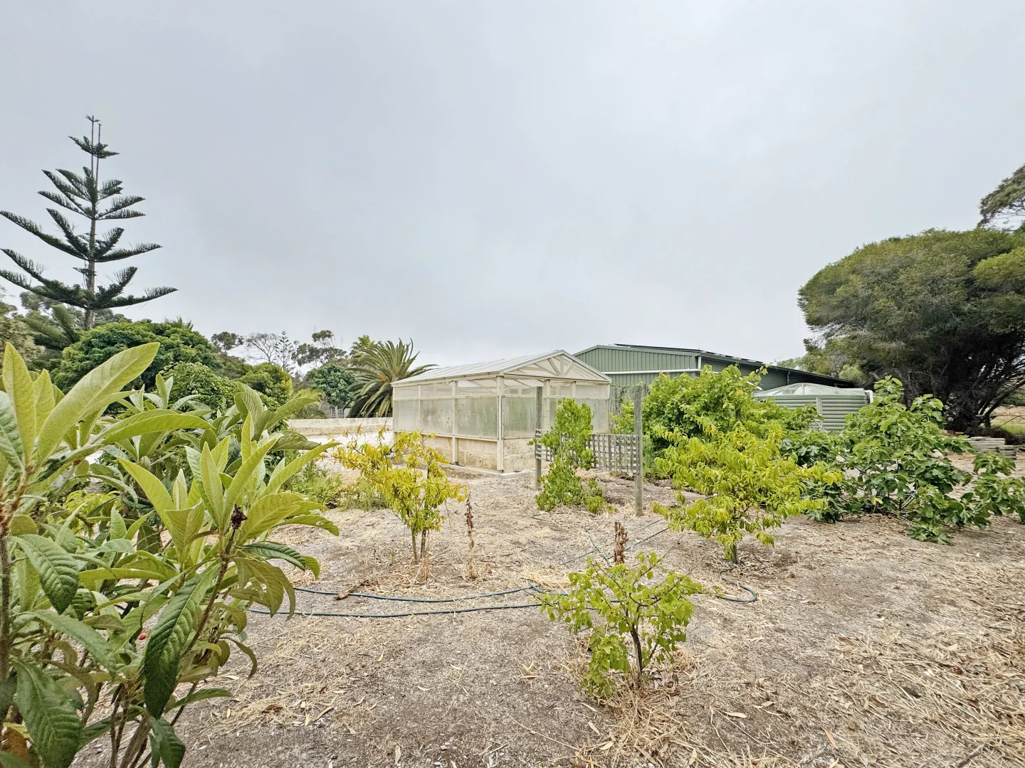 Additional image 27 of 134 Lalor Drive, Windabout WA 6450