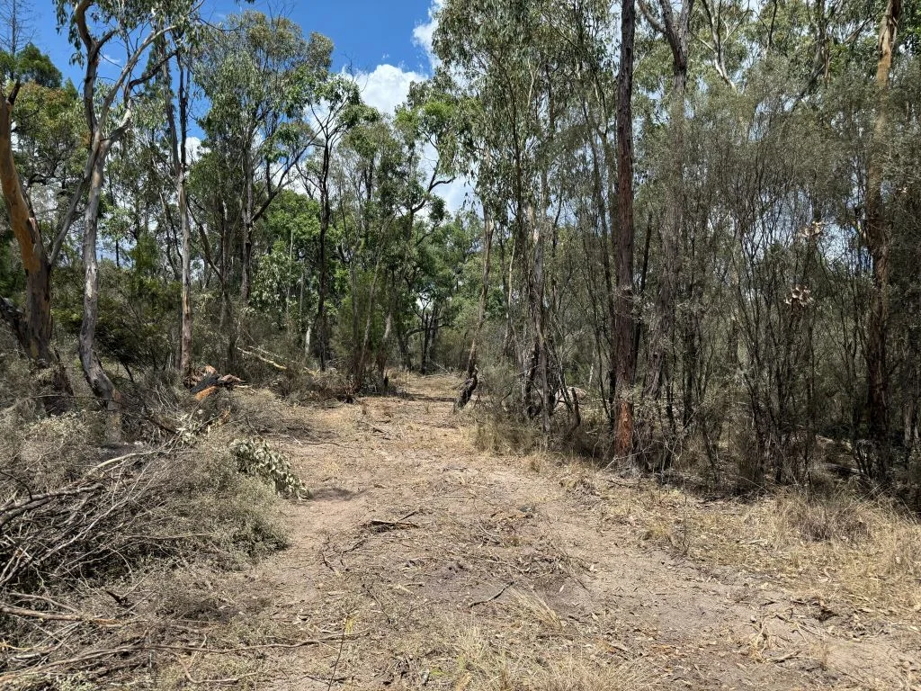 Additional image 23 of Lot/89 Fletcher Road, Ballandean QLD 4382