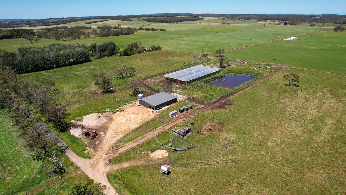 Additional image 4 of 111 Smith Street, Heywood VIC 3304