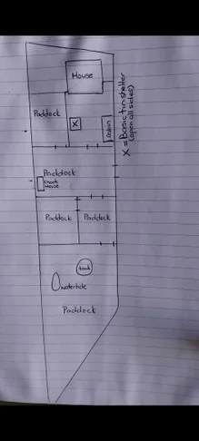 Additional image 17 of 1958 Hunter Road, Scone NSW 2337