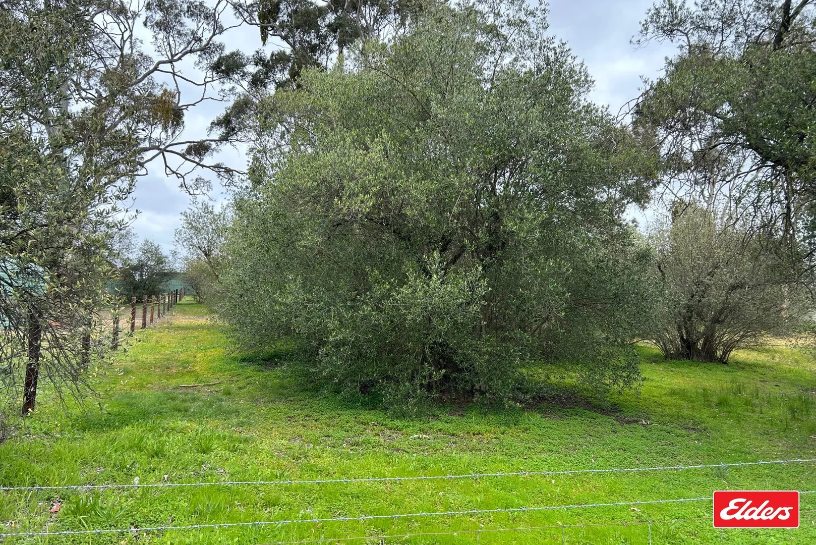 Additional image 4 of Lot 101 Church Street, Williamstown SA 5351
