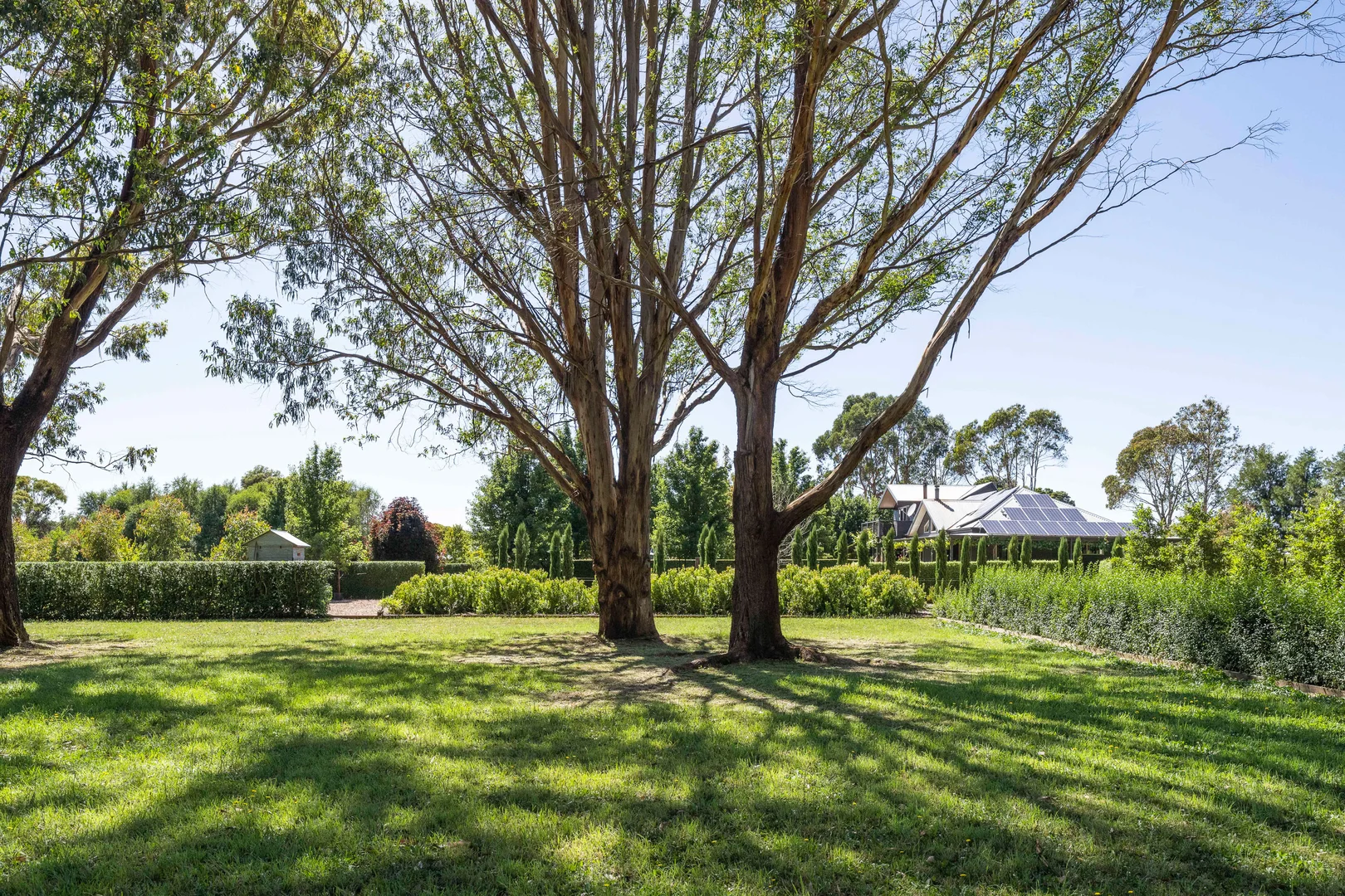 Additional image 26 of 490 Dean-Mollongghip Road, Mollongghip VIC 3352