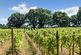 Additional image 44 of Astley, Stourport-on-Severn, Worcestershire