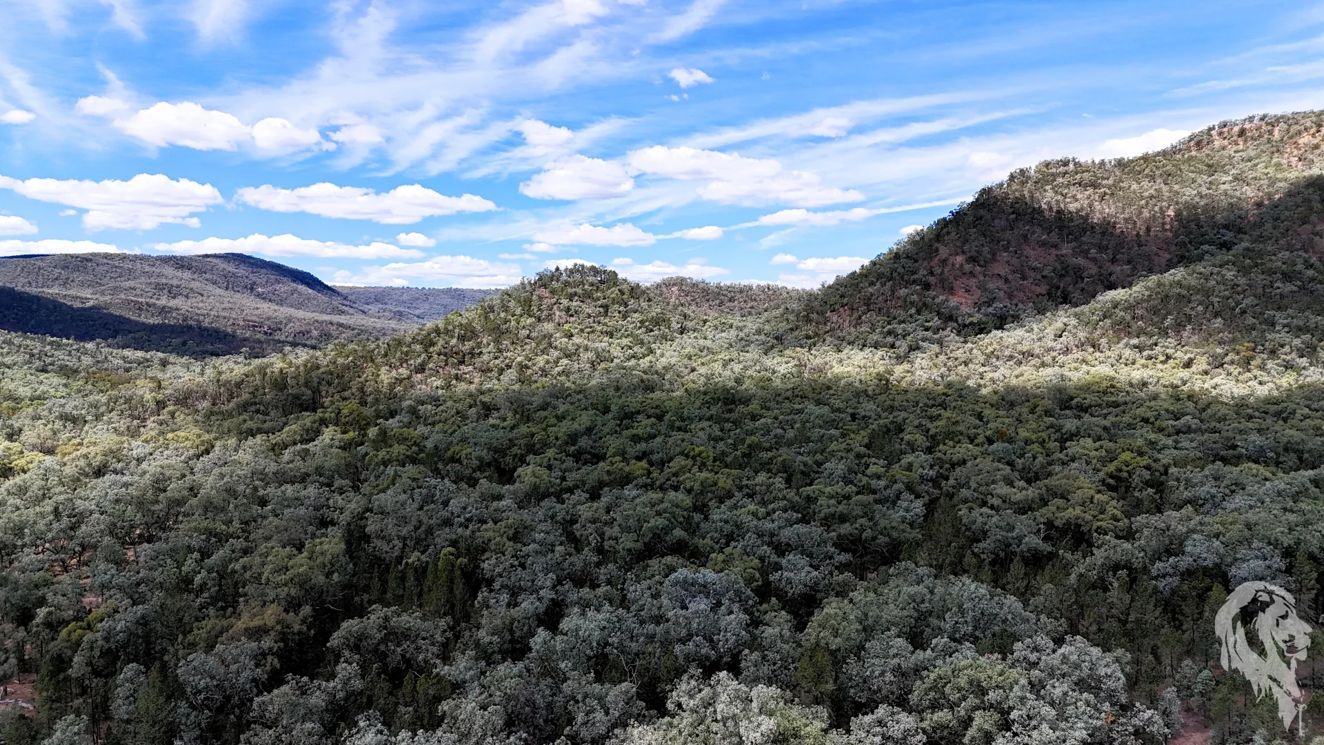 Additional image 4 of 312 Spion Kop Road, Maules Creek NSW 2382