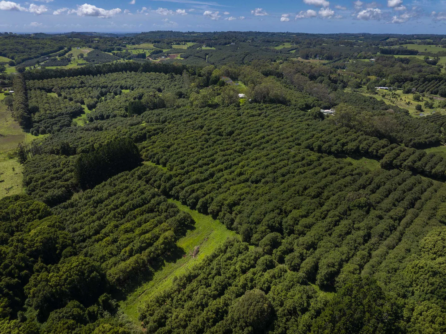 Additional image 2 of McLeans Ridges NSW 2480