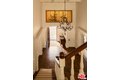 Additional image 12 of 1420 Moraga Dr, Los Angeles, CA, 90049