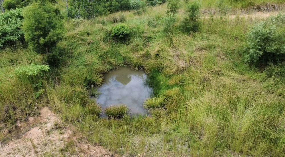 Additional image 13 of 222 Pappinbarra Road Left Arm, Upper Pappinbarra NSW 2446